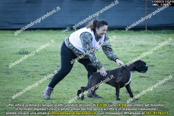 IMG_5388.jpg