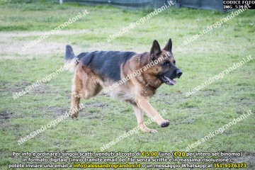 IMG_5391.jpg