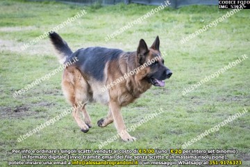 IMG_5392.jpg