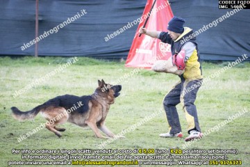 IMG_5408.jpg