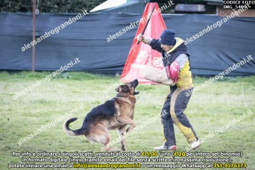 IMG_5409.jpg