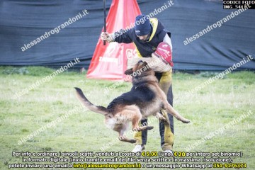 IMG_5411.jpg
