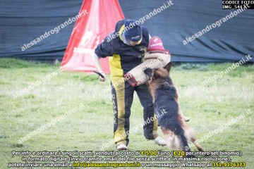 IMG_5413.jpg