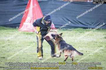 IMG_5414.jpg