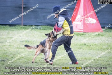 IMG_5415.jpg