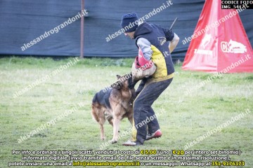 IMG_5417.jpg
