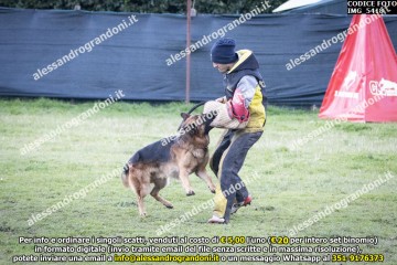 IMG_5418.jpg