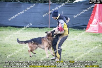 IMG_5419.jpg