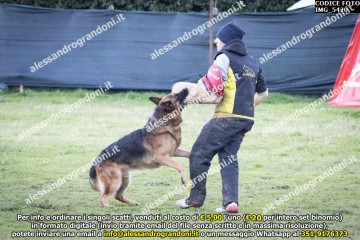 IMG_5420.jpg