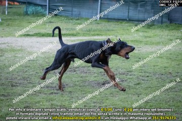 IMG_5423.jpg