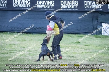IMG_5434.jpg
