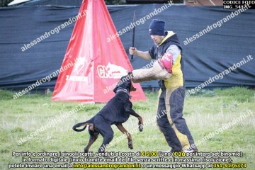 IMG_5437.jpg