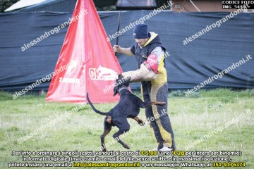IMG_5438.jpg