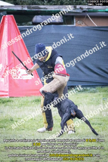 IMG_5440.jpg