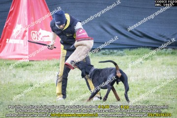 IMG_5441.jpg