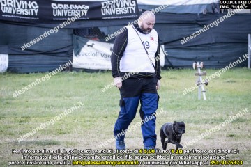 IMG_5446.jpg