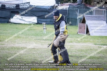 IMG_5468.jpg