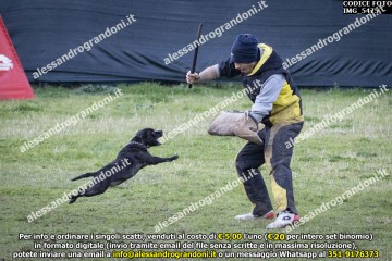 IMG_5475.jpg