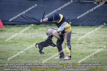 IMG_5476.jpg