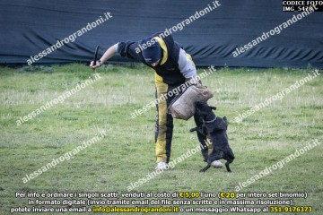 IMG_5478.jpg