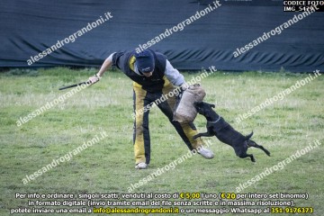 IMG_5479.jpg