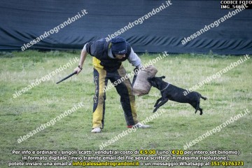 IMG_5480.jpg