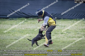 IMG_5484.jpg