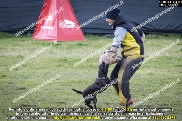 IMG_5488.jpg