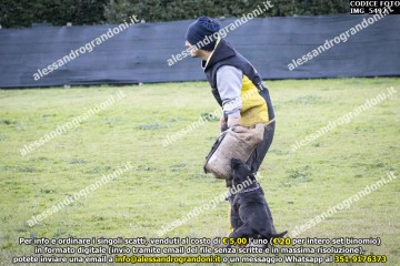 IMG_5492.jpg