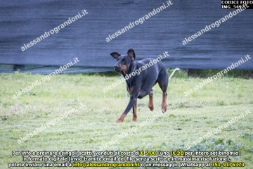 IMG_5497.jpg