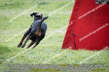 IMG_5498.jpg