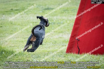 IMG_5499.jpg
