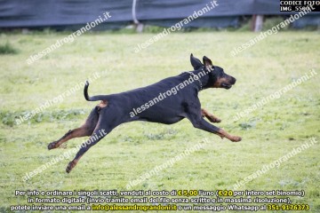 IMG_5500.jpg