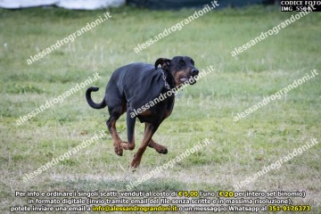 IMG_5504.jpg