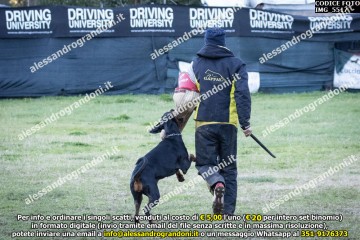 IMG_5517.jpg