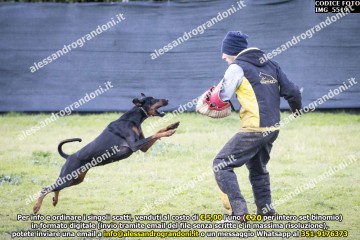 IMG_5519.jpg