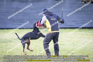 IMG_5520.jpg