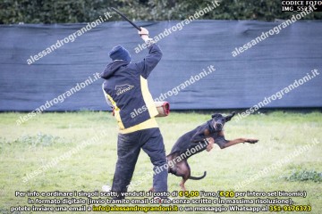 IMG_5523.jpg