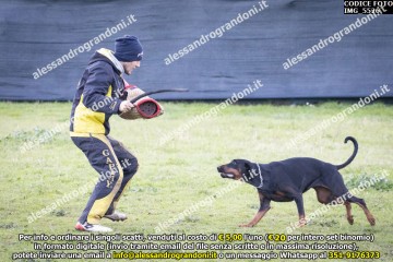 IMG_5526.jpg
