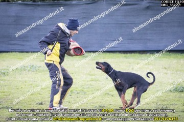 IMG_5527.jpg