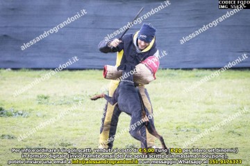 IMG_5532.jpg