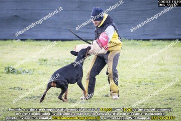 IMG_5533.jpg