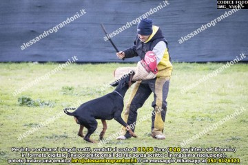 IMG_5534.jpg