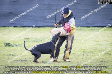 IMG_5535.jpg