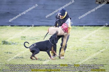 IMG_5536.jpg