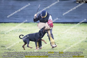 IMG_5537.jpg
