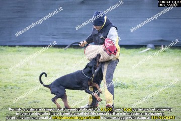 IMG_5540.jpg