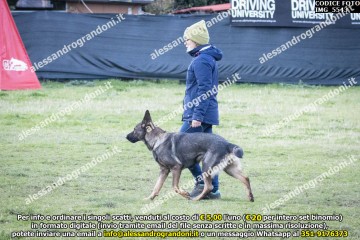 IMG_5543.jpg