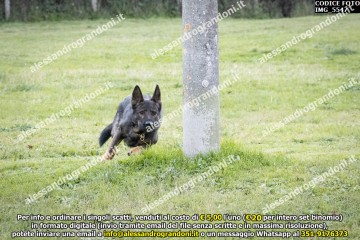 IMG_5547.jpg
