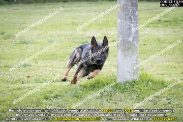 IMG_5548.jpg